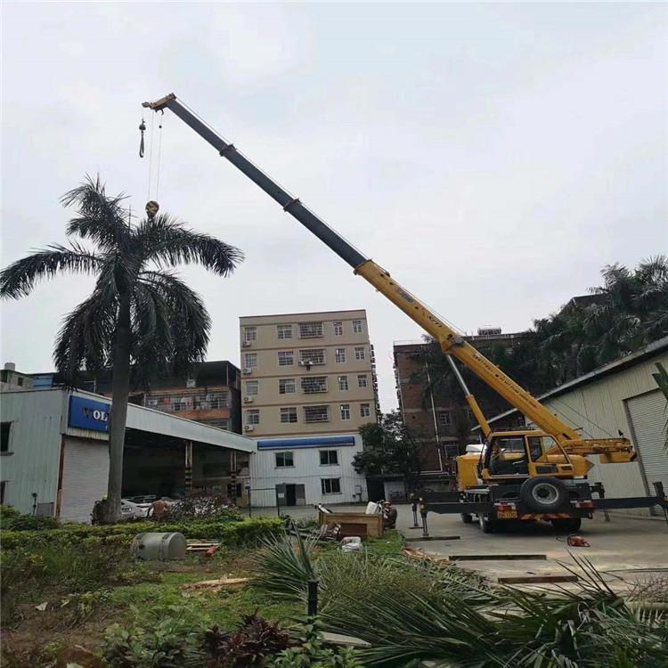 罗城吊车吊大树几种方法